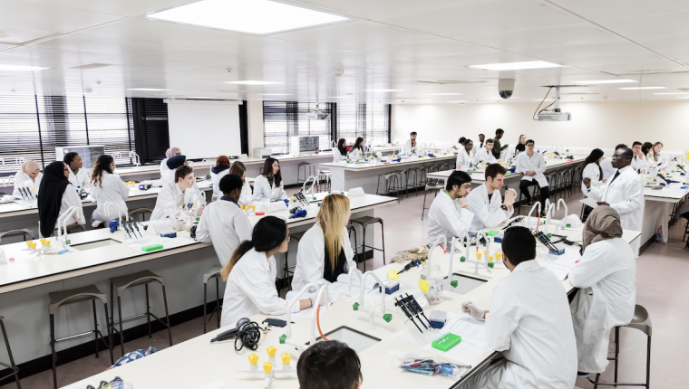 Study health sciences in London, UK at St George´s University of London, England